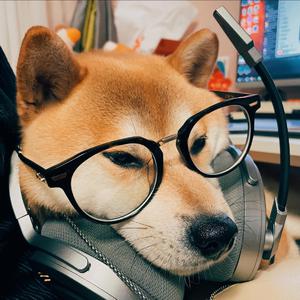 国产精品🔞❌❌❌❌视频app
